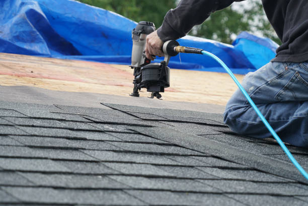 Best Local Roofing Companies  in Lake Forest Park, WA