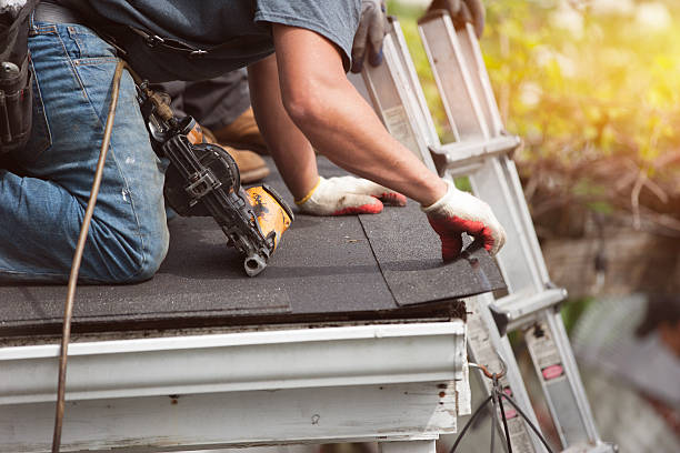 Best Gutter Installation and Roofing  in Lake Forest Park, WA